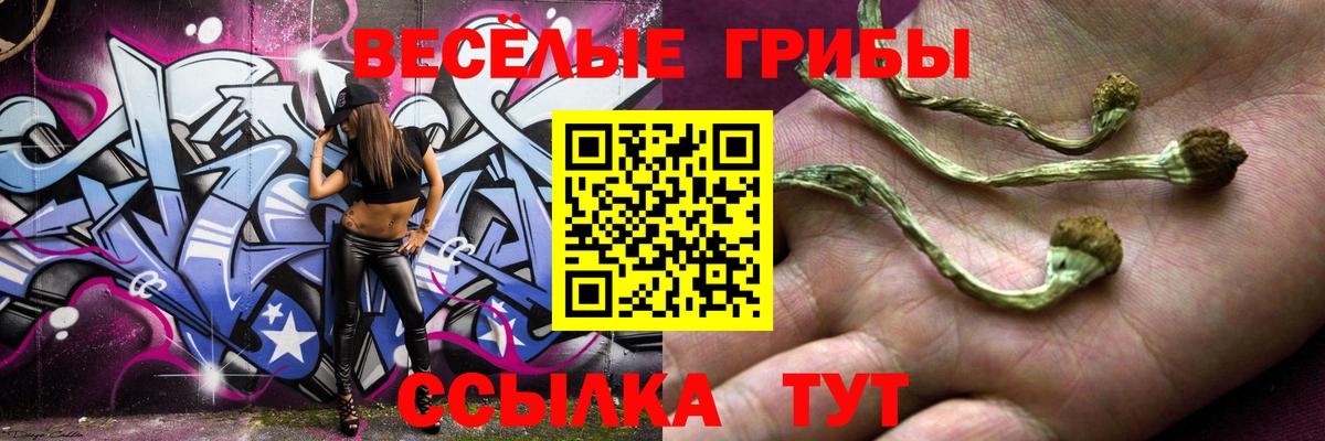 Псилоцибиновые грибы Psilocybe Ирбит
